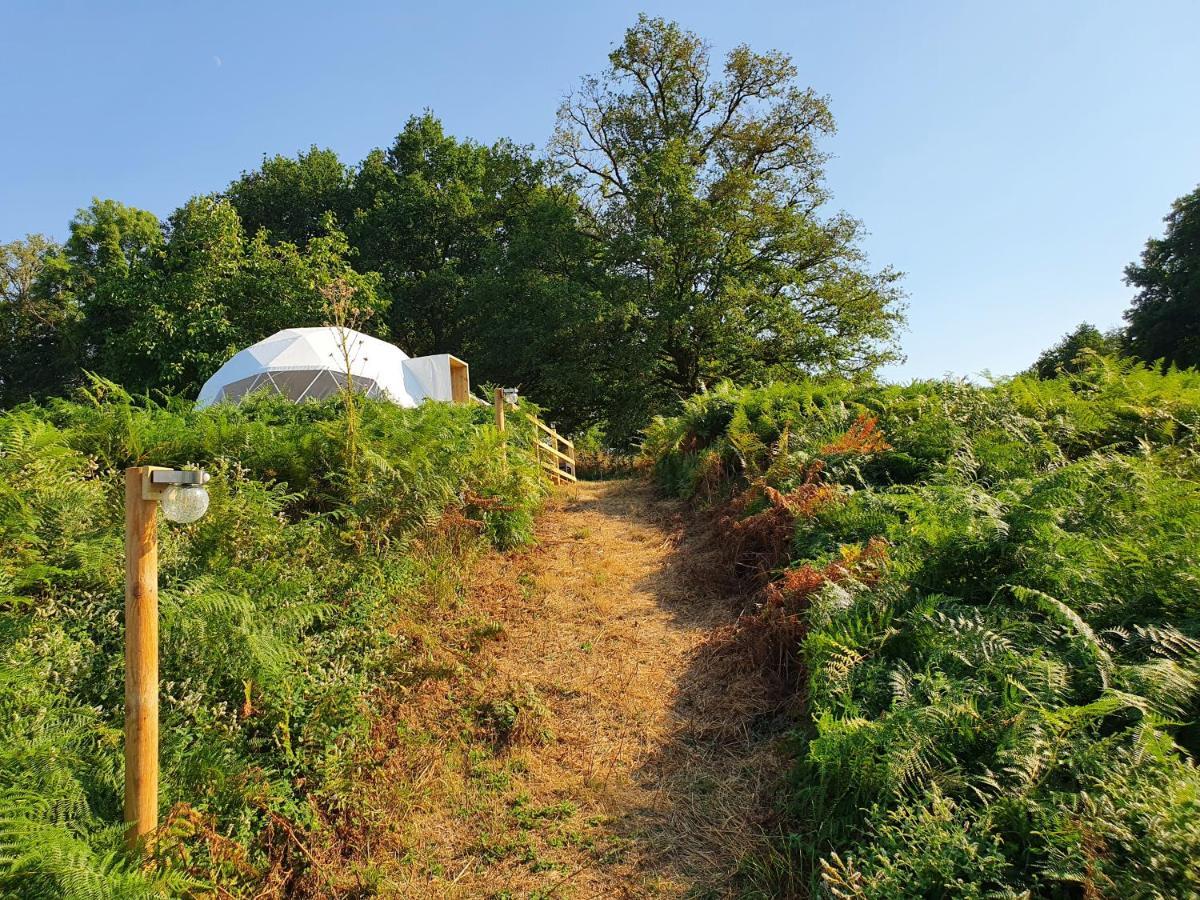 Moulin Du Pommier Glamping & Camping Saulgond Exterior foto